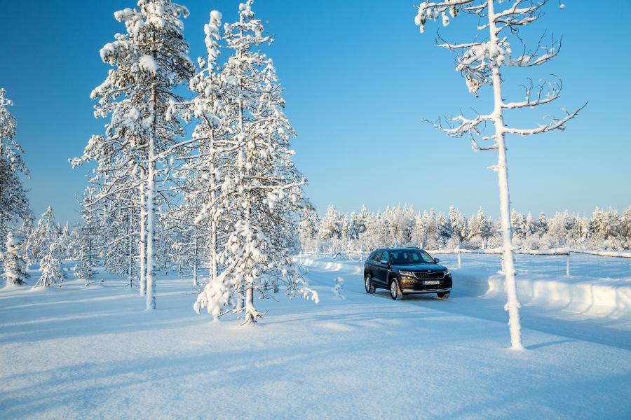  Skoda Kodiaq Scout 2017 года  (WW) (фото 29 из 61)